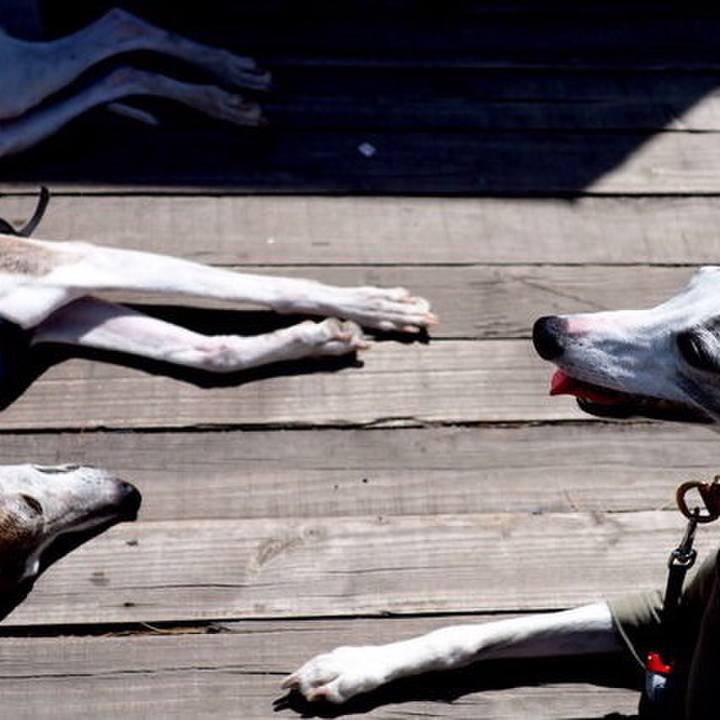 2382bc62 6889 4710 8a4b f0963c51de00