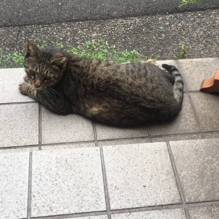 2382e1a6 c1ee 43d8 8132 280b1e3e7d54