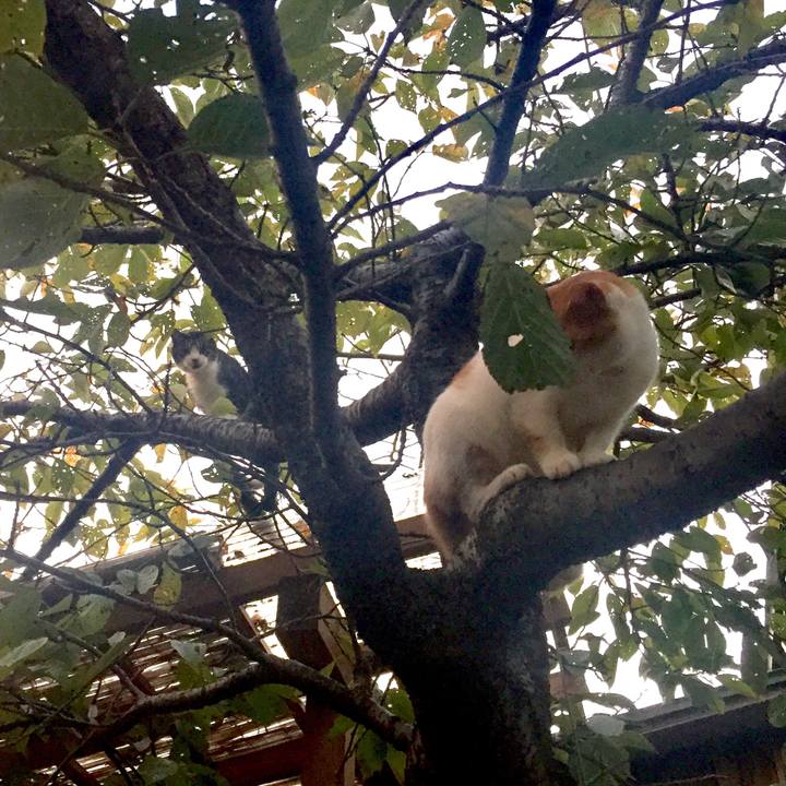 23835e55 5e68 4497 a7f1 c8201682b6d6