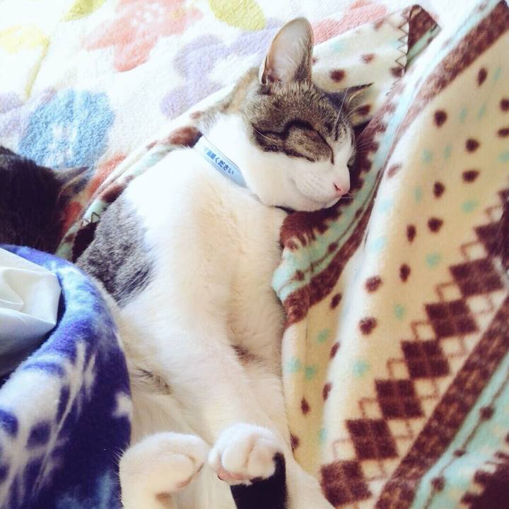 2383bf5b 0eed 4cdf a5cb d6e5d63cef1c