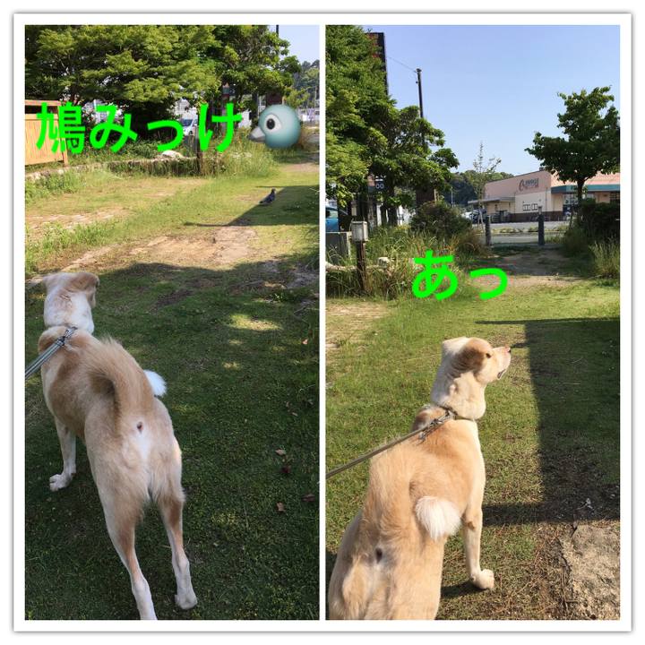 2383e629 2ce8 4cc5 a88c 50b4fa10657d