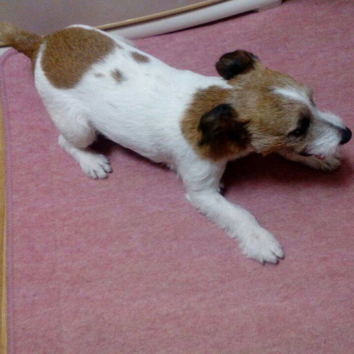 23840f99 d837 4d59 b1f2 79af8b4526a0