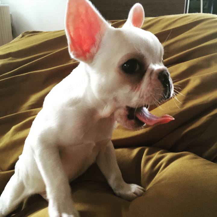 23842958 8b12 4853 89ff 96fad977cffb