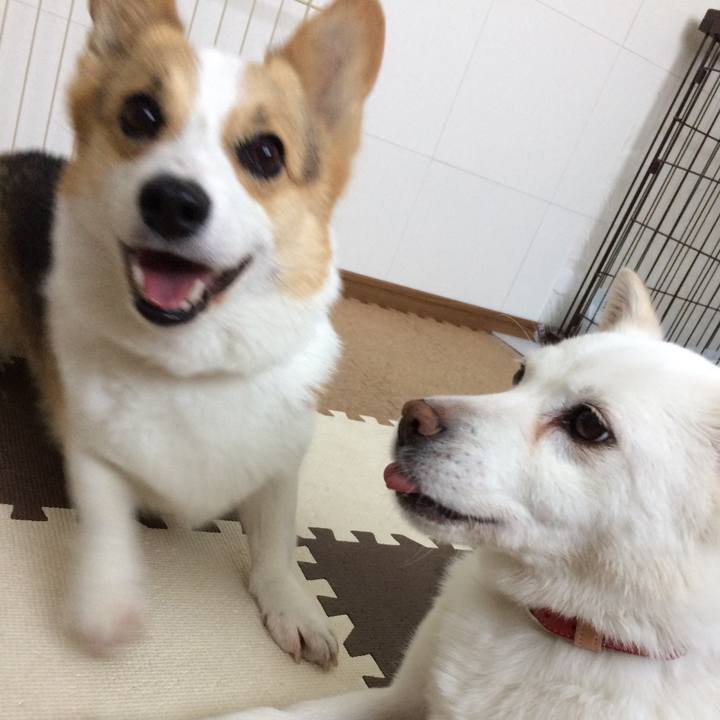 238444b9 2b30 4fc9 8a5d 0a744ed5c4f2