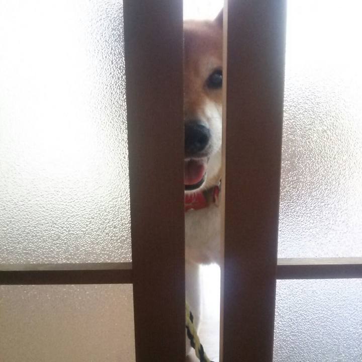 2384ede8 092d 4733 b241 d7942aa714b8