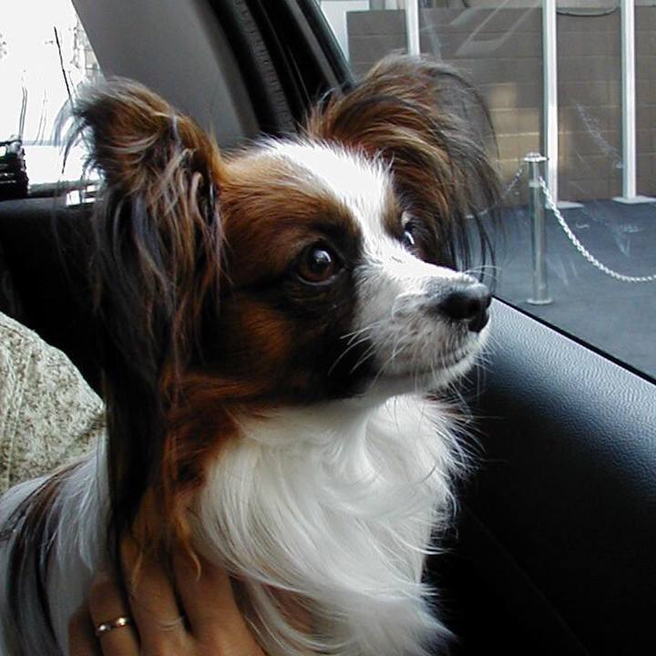 2384eea3 c2b2 4529 a39b f10f6913a7f3