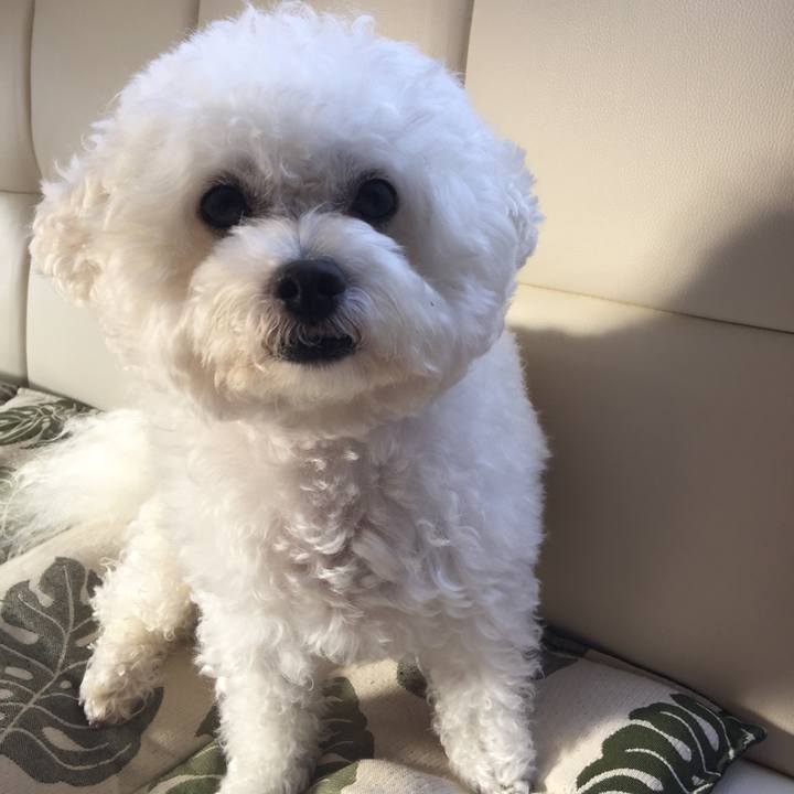 2385670a fe46 4959 bced 26af1556aa86