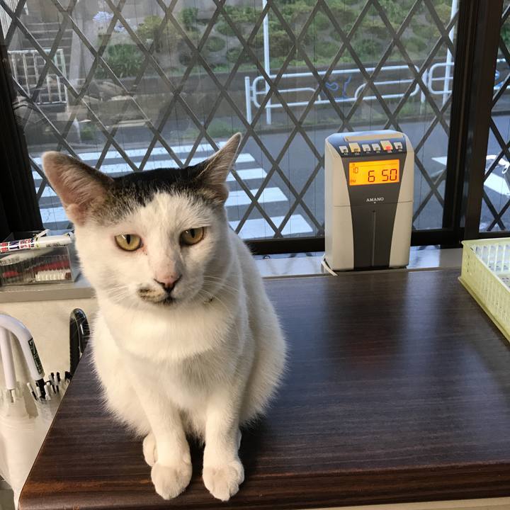 2385a6c5 43c2 4798 9958 97e0eac64313