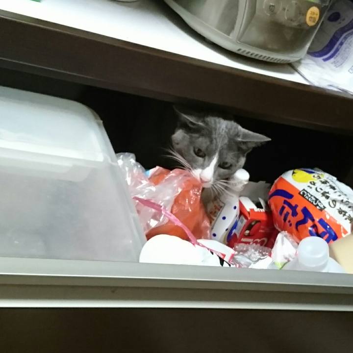 2385aefb 06f6 4d41 8bcf 2e949826b23c