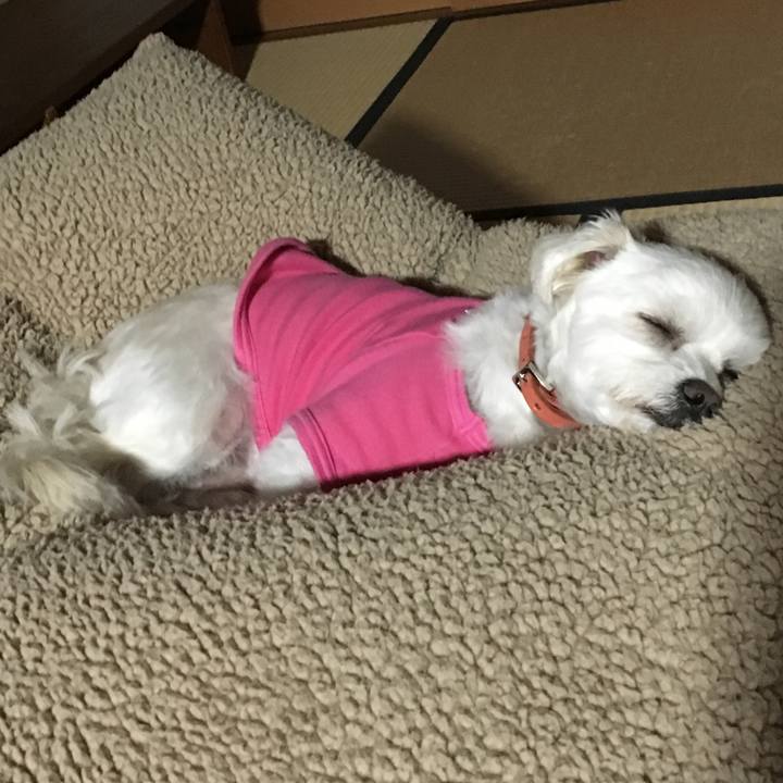 2386297a 6a64 4140 816e e586a1270dc1