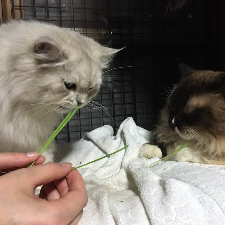 2386298c 03f8 4ce4 bcd9 e82340e4c5de