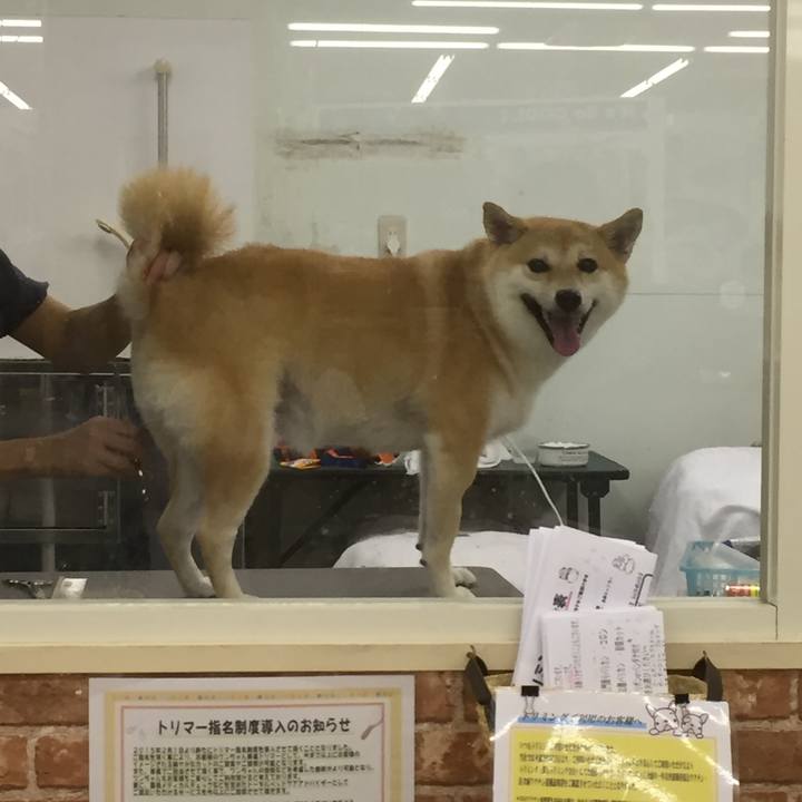 23863d0b eb11 48e5 8030 8bfbc587f984