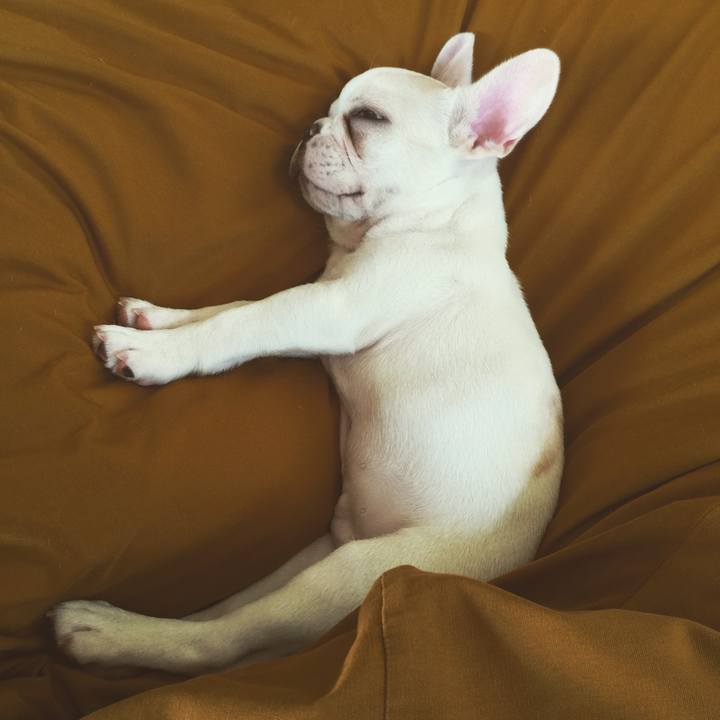 23863f57 9f5d 468e aaf4 ec033ca4fd13