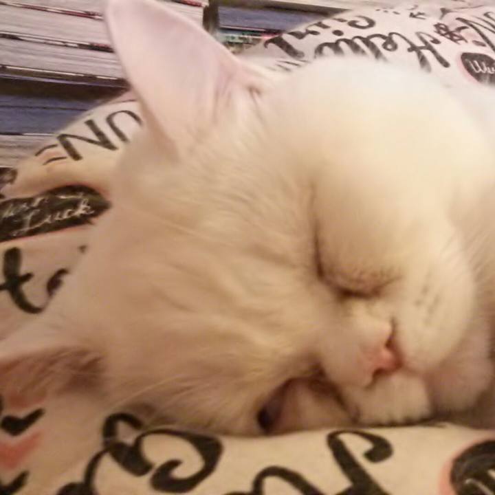 2386b184 4772 4209 88d6 4cad8875799e