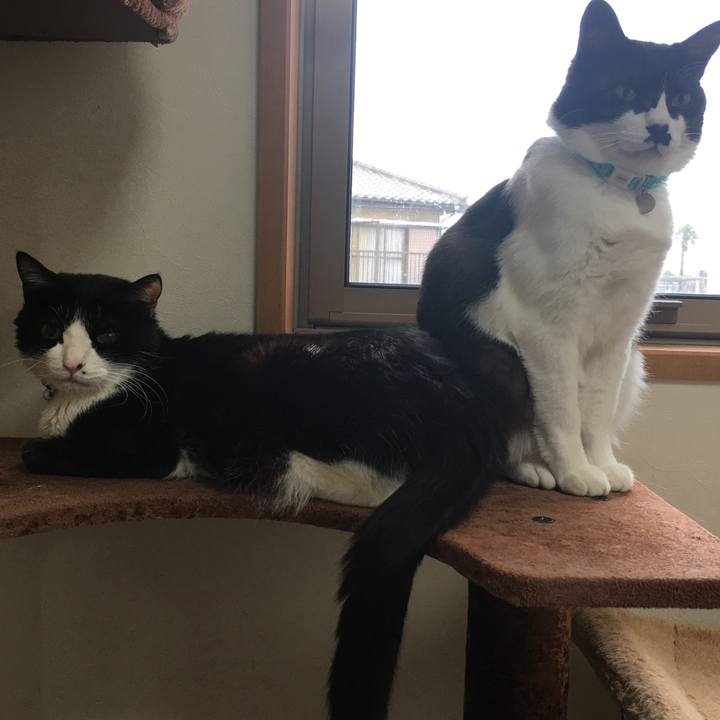 2386eac3 beab 4939 840f bf1d75faf4c7