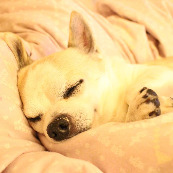 23876f90 58a6 42c2 9ba3 6cc97752c732