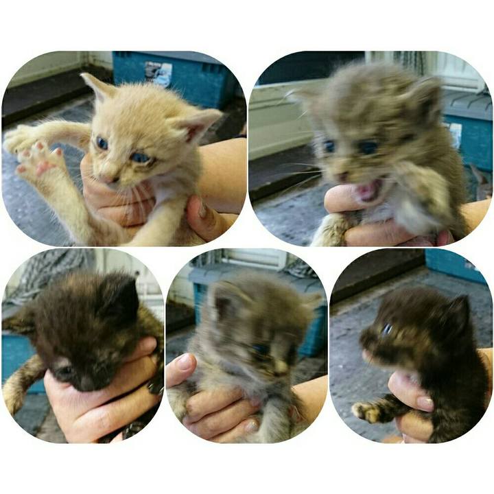 2387d6a5 4c81 4476 b58c faf977f23aa0