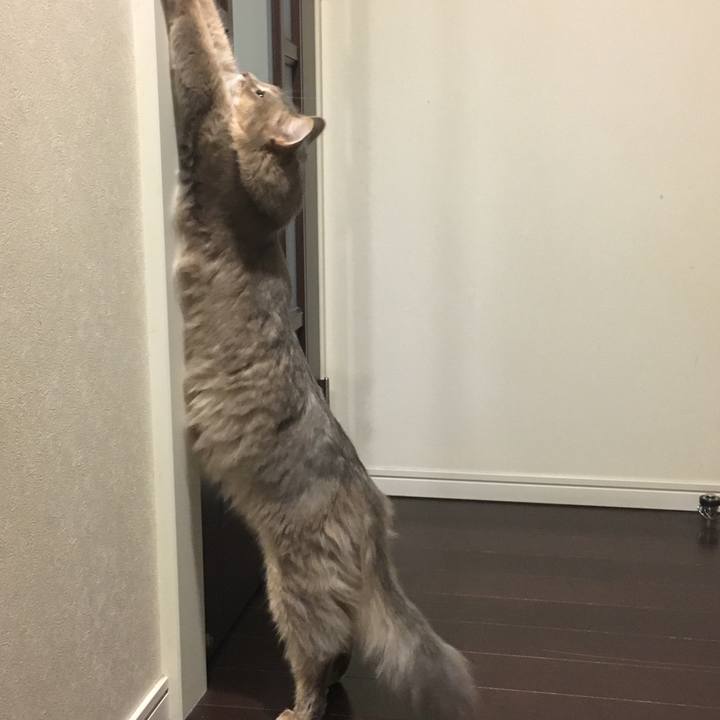 23883e46 70d6 4e01 ab24 178d200485f2