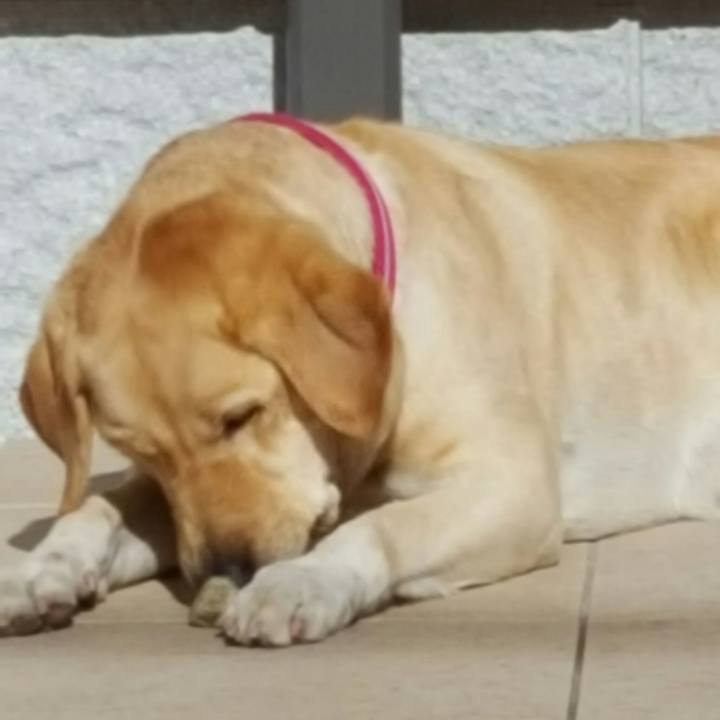 23888eed c2fd 4f89 8371 05c2575571c5