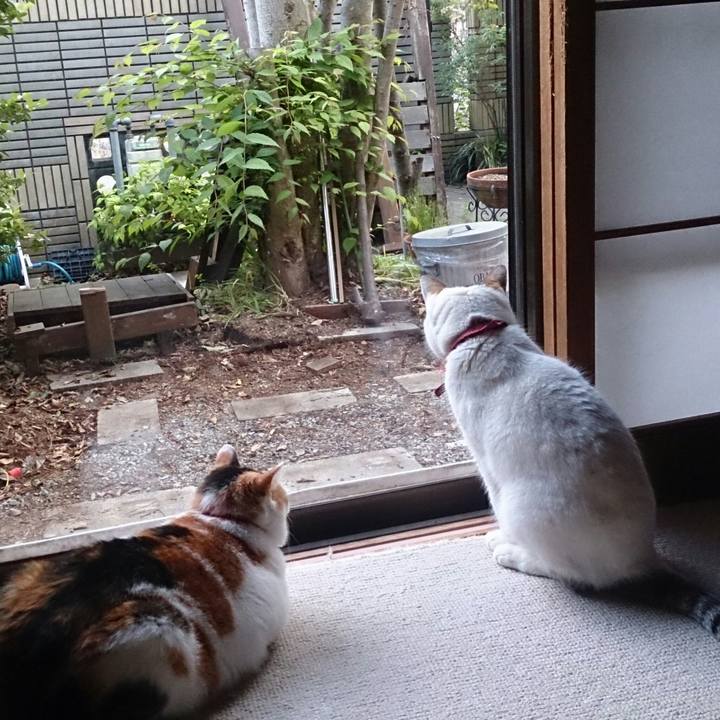 23893465 f763 4a78 82e3 39d077da0d53