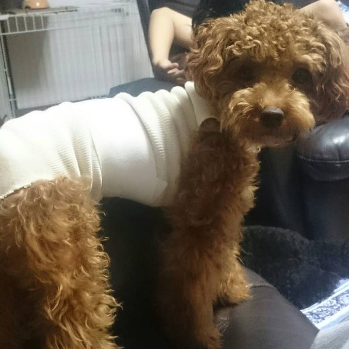 23895466 0009 48e3 accf 6ce003f07de0