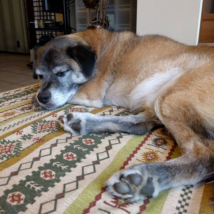 23895add 9573 41b9 bf93 46ab411bcc80