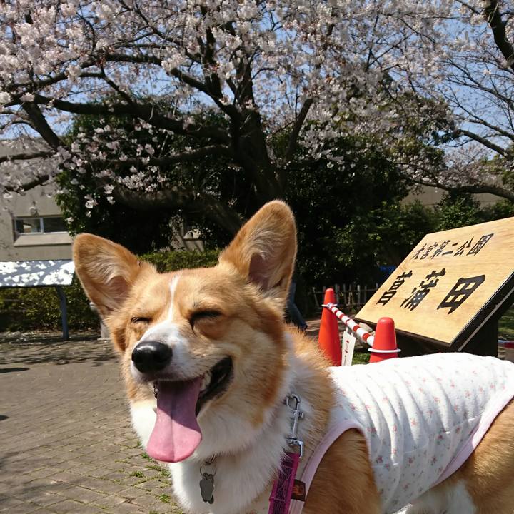 2389ed87 908d 48ad 959d a0110ebee8a1