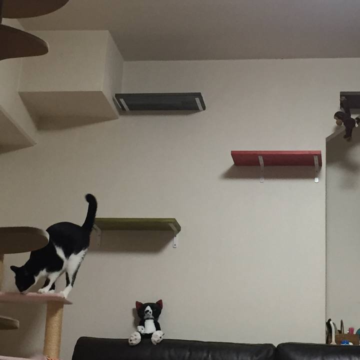 238aa47a 94d1 411d 92d0 665c6acd6c9e