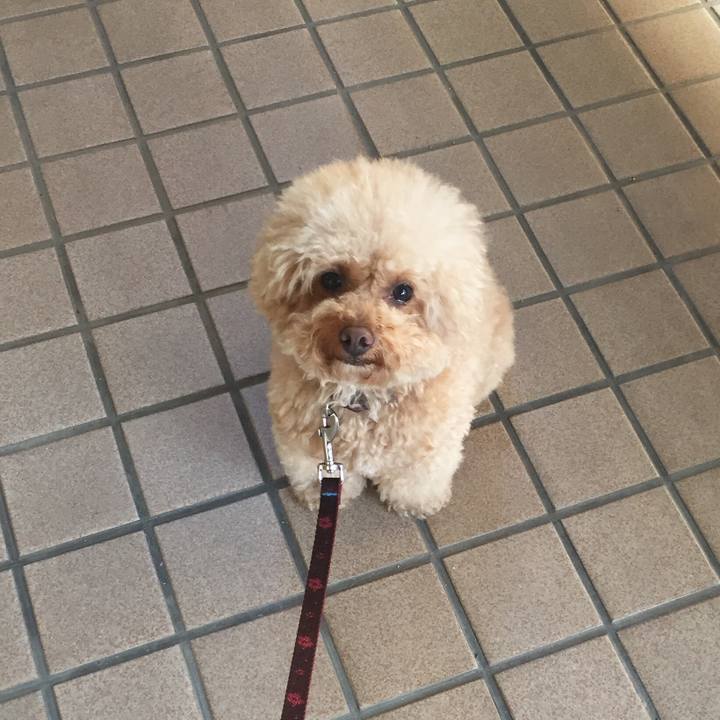 238abcb0 372a 44c9 a64b d1901dde94cc