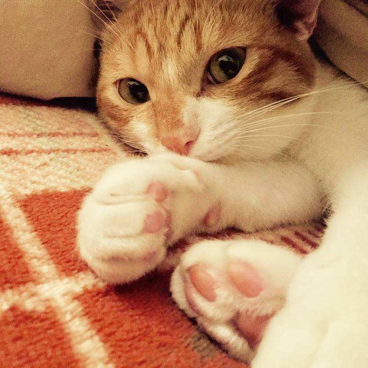 238b3a41 b5a5 4009 a33d 4578bd6a281b