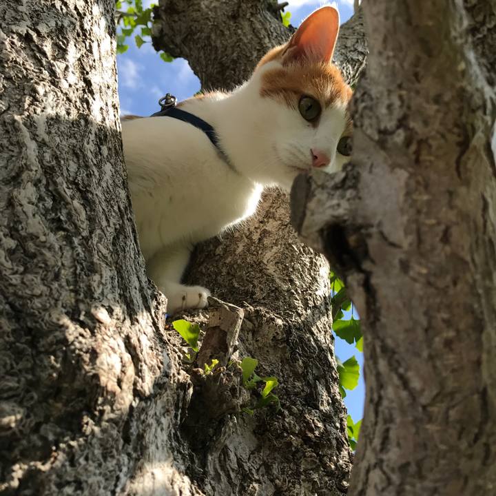 238bc54e 6533 4aac bc05 ea98fb7c7892