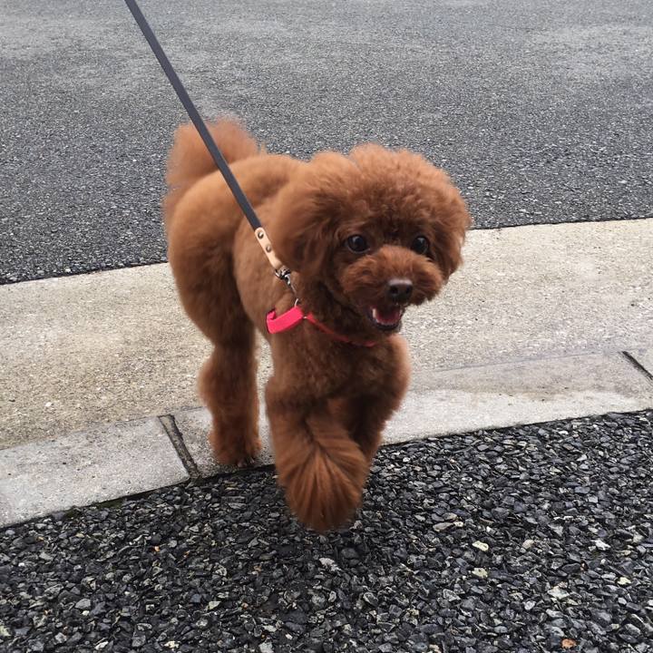 238bd65d 6937 4c52 acc1 c7ba58b39b97