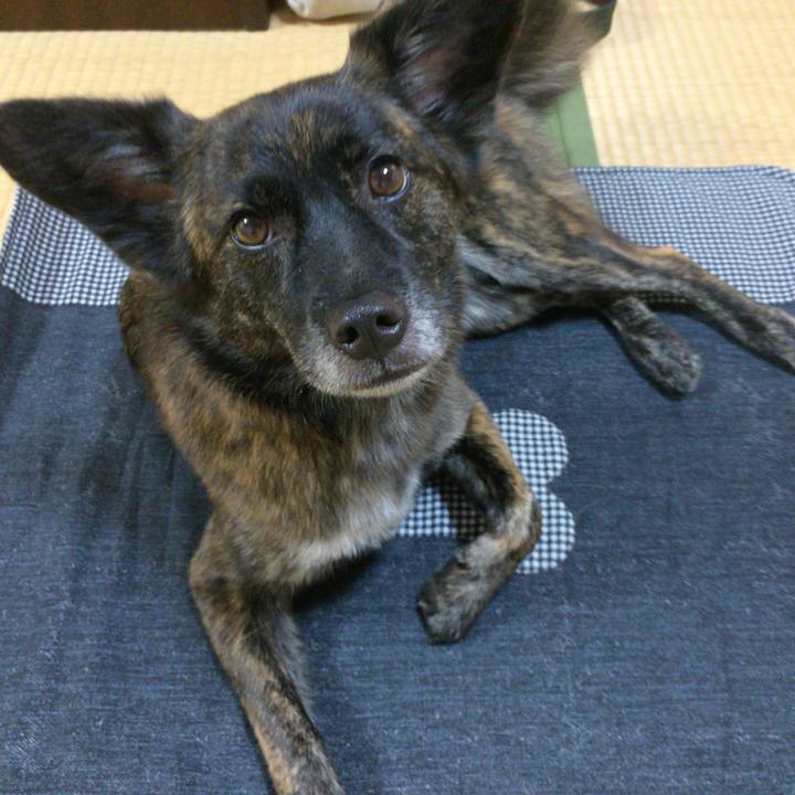 238bdf4d 6bfb 4781 b552 6b7eb7ffee4c