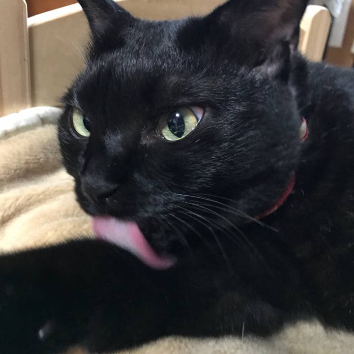 238c5d1d 7148 4985 a17f d889d8489400