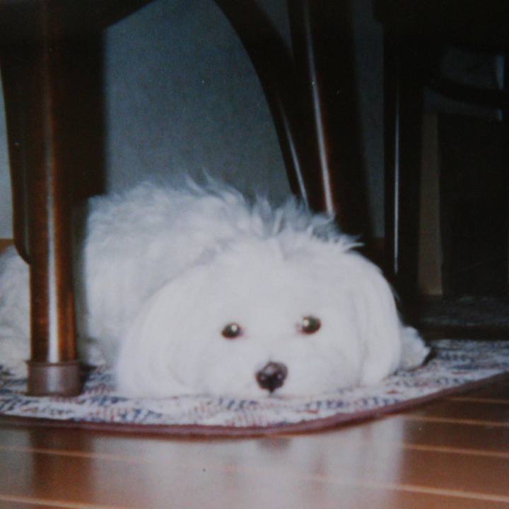 238ce362 0949 44ad 9043 a917e5ea8687