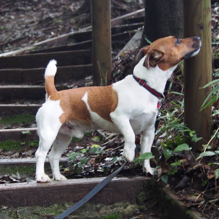 238d75e5 1d80 4e1f b6f3 0a0d8e941e69