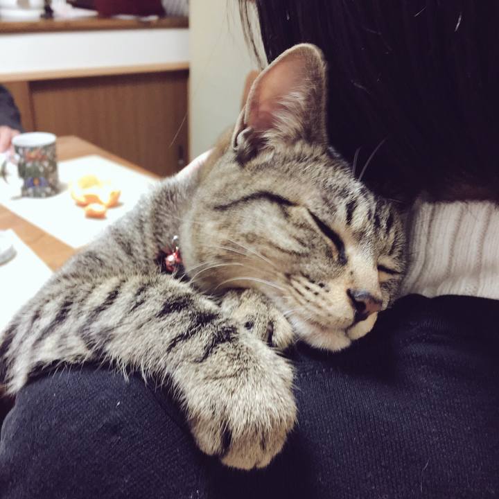 238dd8be ad4d 4bb8 8ce2 6d0888d5dbb3