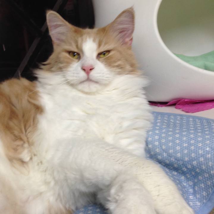 238de38b 7dba 4b0a 9f3d e034d494f157