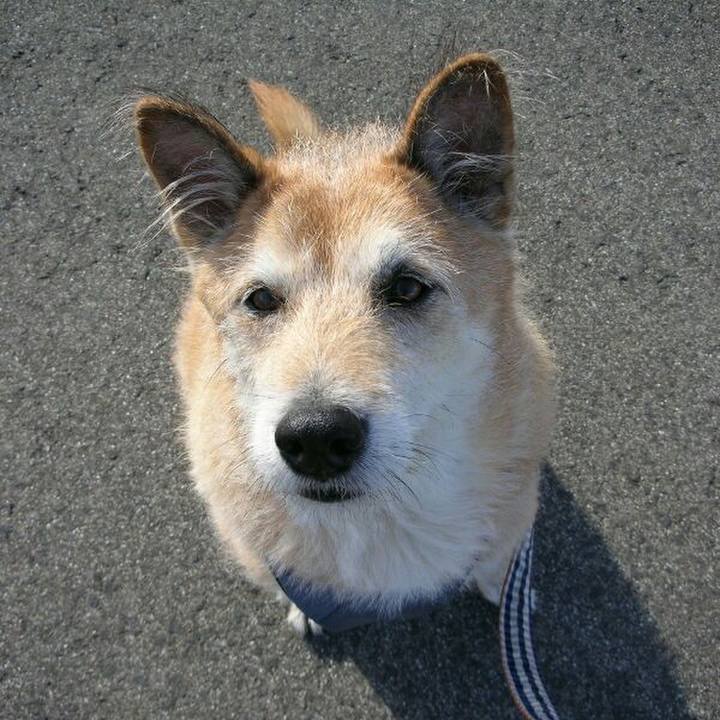 238e3a97 b71a 495c 9f94 03887f91a4a7