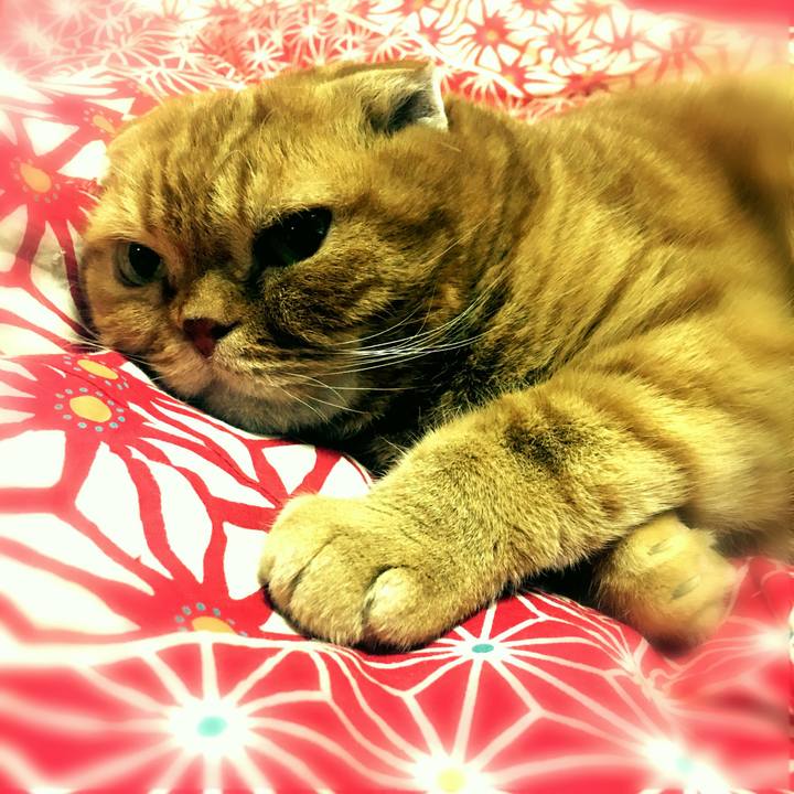 238e6b97 4e8a 4657 a9f9 591d4fb69d1e