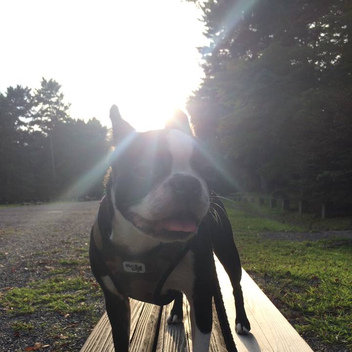 23901174 ff08 46bb 8902 281a2ea2fa04