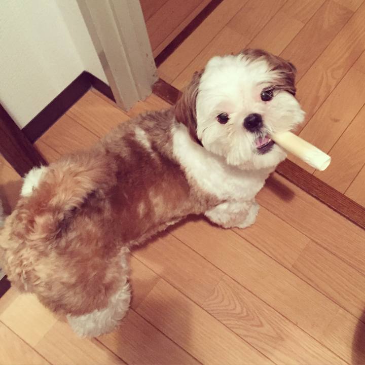 2390401a 4715 4767 a353 33483244c95f