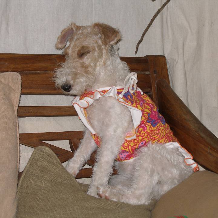 239067de 430b 46a9 965e 3a58f725622f