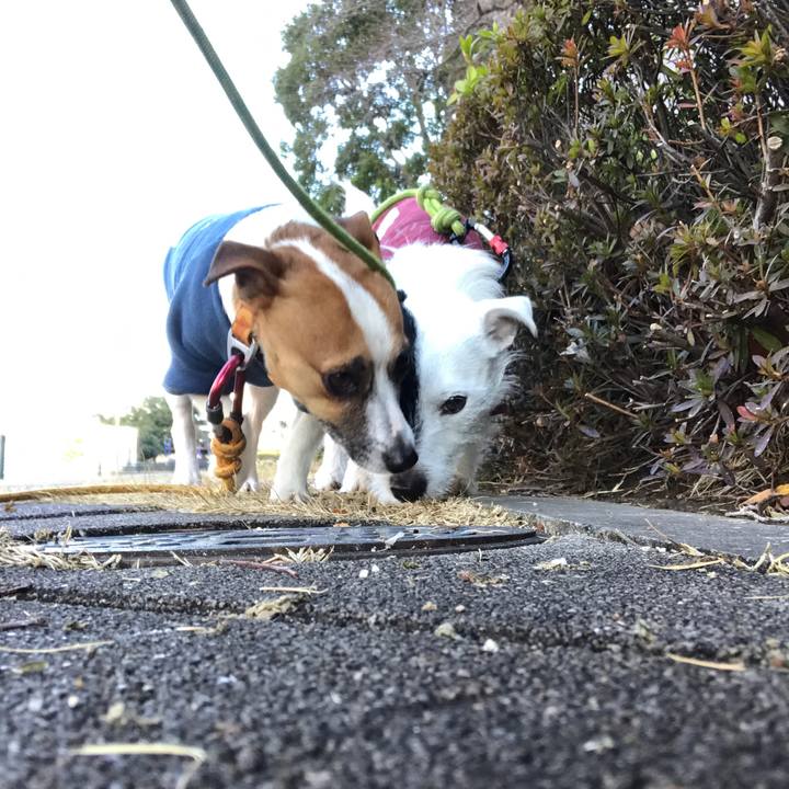 23906fdb bf7f 4380 8541 cac58de8f7f4