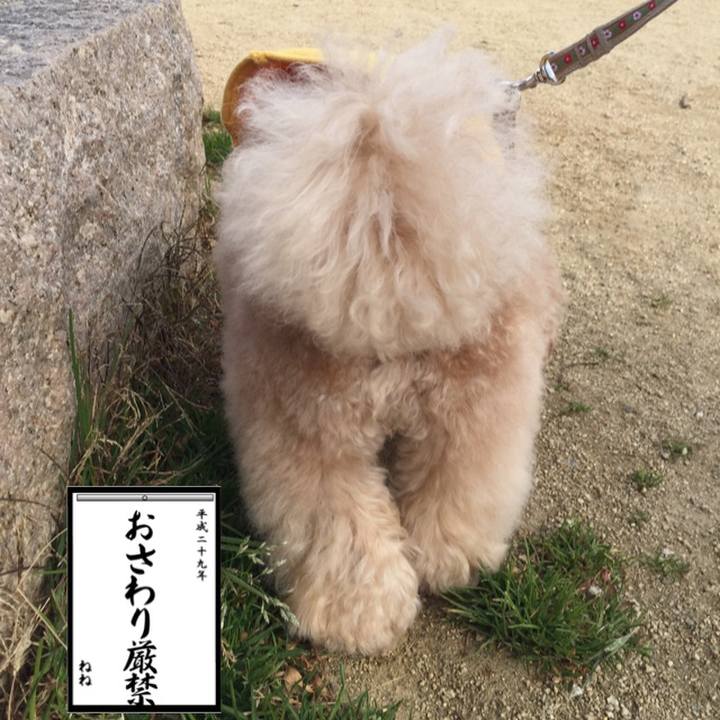 23909392 c47f 486d 8aab 50db05776cd2