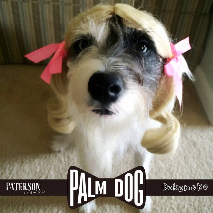 2390c906 e432 490c 8d63 8ce1d95dbc0d