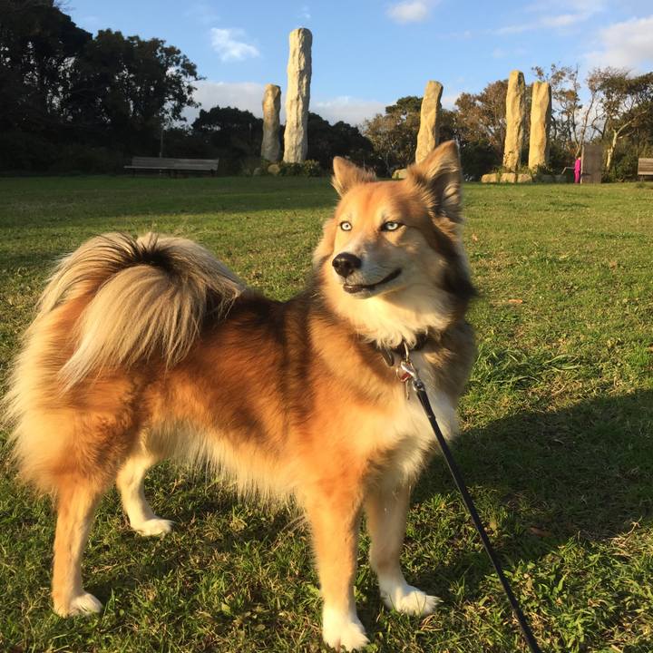 2390f257 5cf3 4a88 aad9 c3dc102b96c4