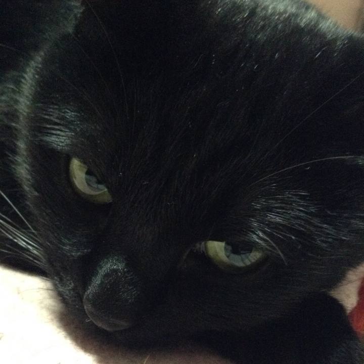 239163ad 416d 4db5 a948 4095d7cb00d8