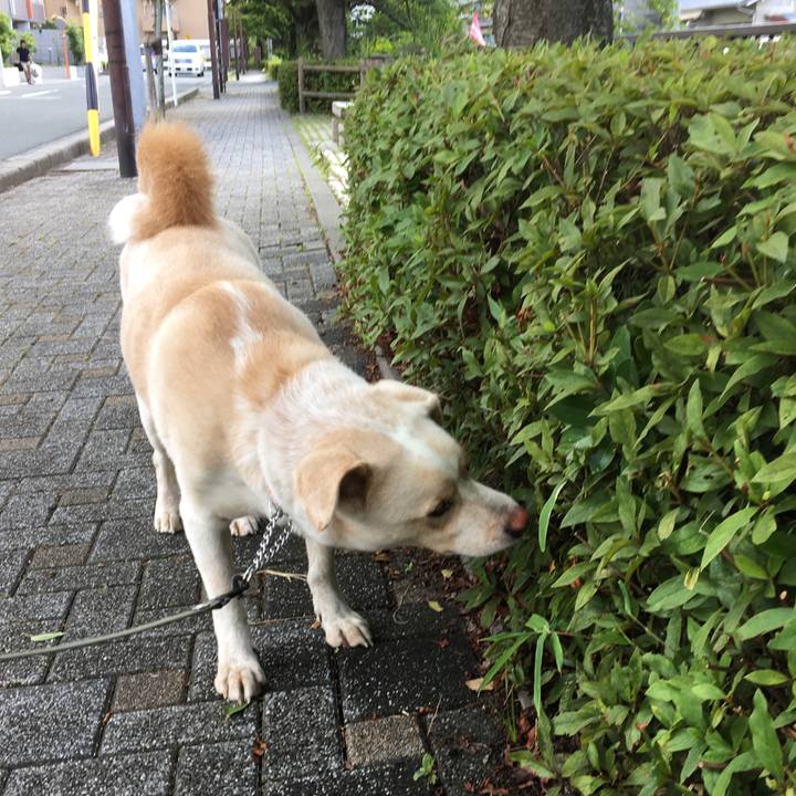 2391c100 9332 4234 87c6 36e9d8e9ae07