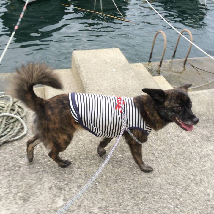 23921233 c6b6 40e8 a96a 92c992d05536